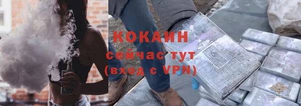 индика Армянск