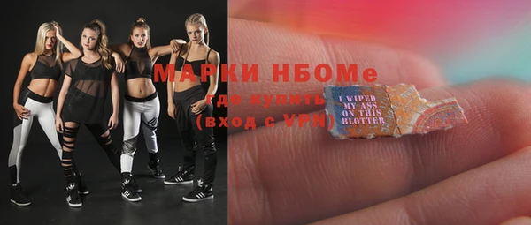индика Армянск